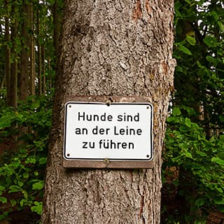 Neue Leinenpflicht für Hunde in der Brut- und Setzzeit in der Schweiz