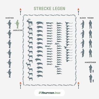 Strecke richtig legen
