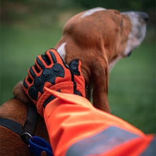 Hart Wild-GL Handschuhe Testbericht