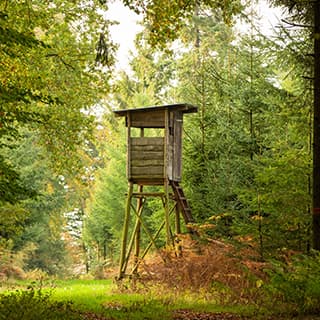 Hochsitz bauen - Einer für alle Reviere