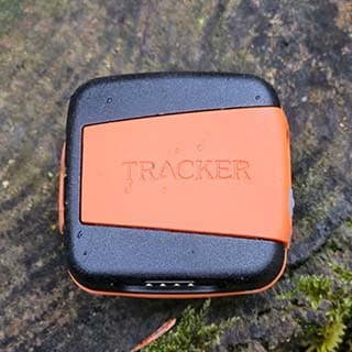 Testbericht - Tracker Hundeortungsgerät Bark