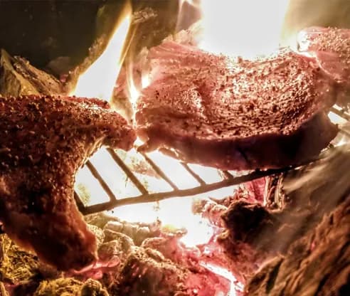 Wildbrethygiene im Sommer