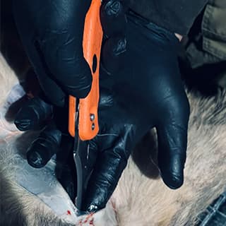 Testbericht - EKAG3 Swingbalde orange