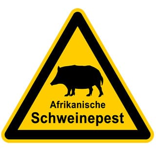 Afrikanische Schweinepest (ASP)