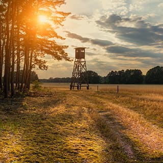 Revierjagd - Morgen- oder Abendansitz