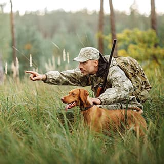 Jagdhunde